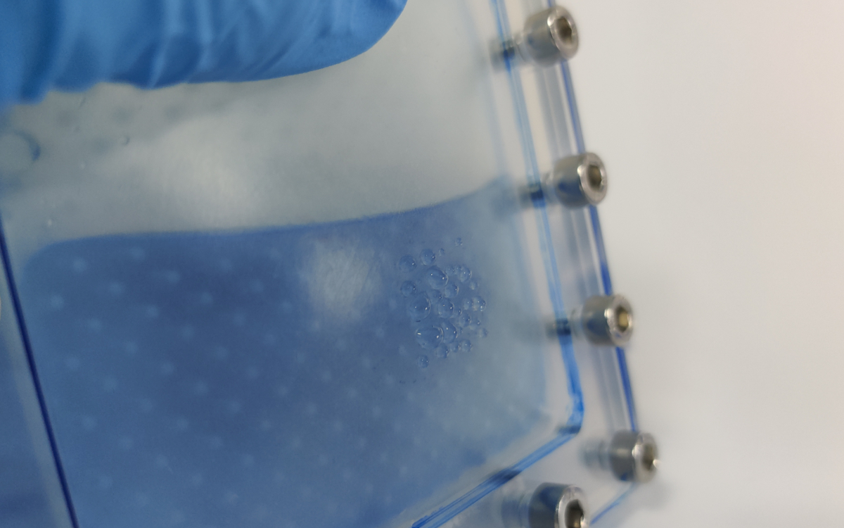 Inspired by work from researchers at Aalto University and the University of Bayreuth, our own product development team explored ways to create a skin-like material to support internal testing for our wearable biosensor programme. 